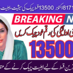 BISP 8171 2025