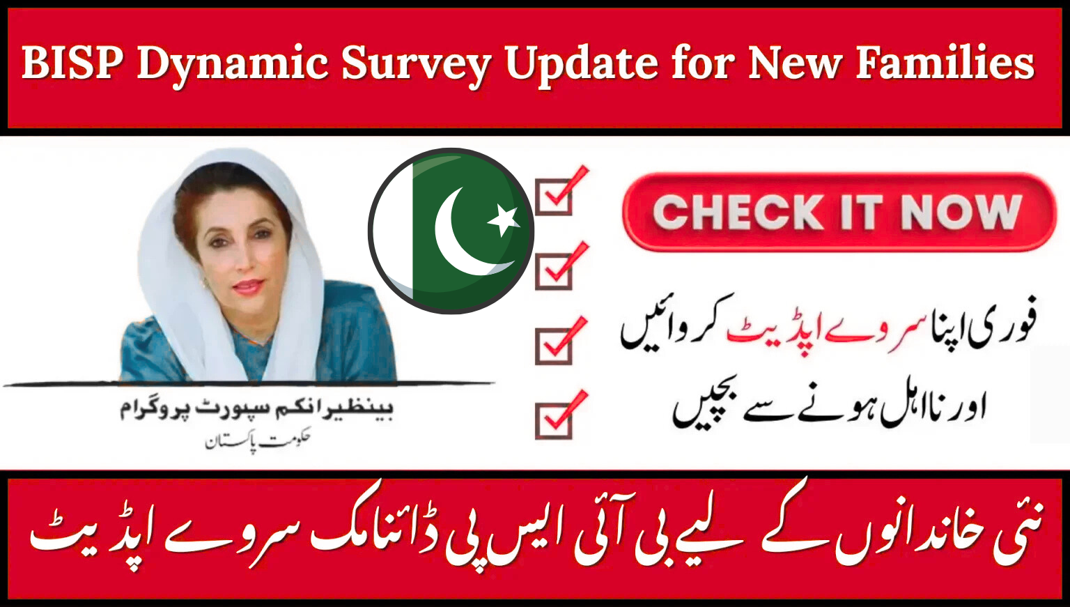 BISP Dynamic Survey 2025