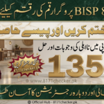 BISP Wallet SIM 8171