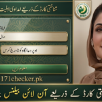 BISP Wallet SIM 8171