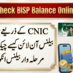 Check BISP Balance Online by CNIC 2026
