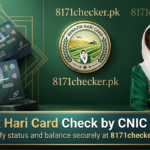Benazir Haari Card 2025