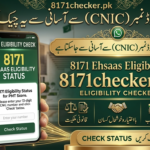 8171 PMT Score Ehsaas Program 2026