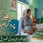 Benazir Nashonuma Program 2026